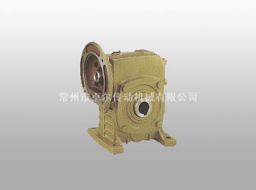 WPDKS蝸輪蝸桿減速機